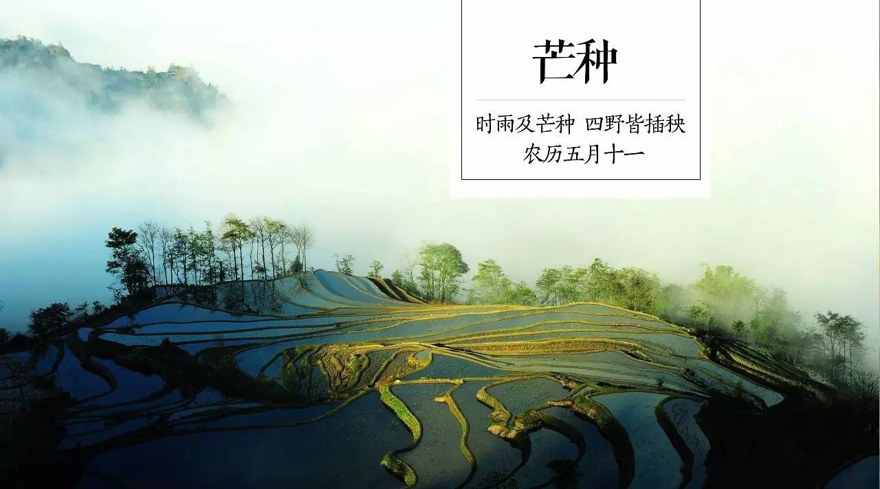 聽自然·芒種 | 讓孩子聽野玩君說螳螂故事 文化